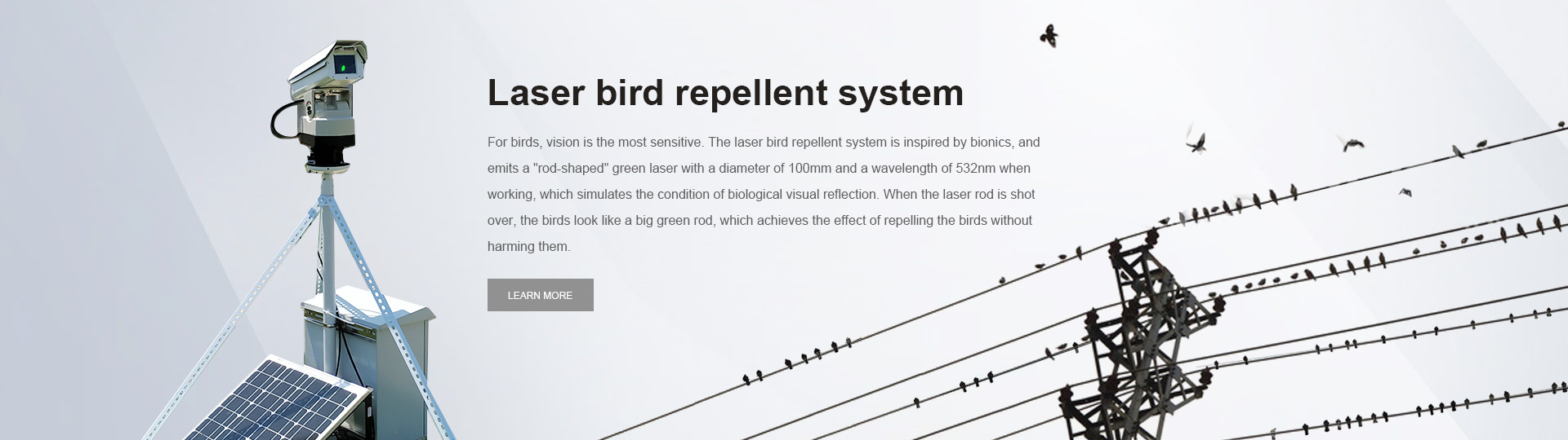 Anti-bird Device